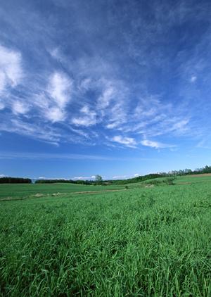 静岡市清水区の家族葬に最適な葬儀場【富士葬祭折戸】の詳細と特徴