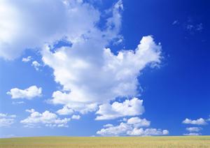 静岡県焼津市の家族葬専門斎場｜家族葬のタクセル焼津の詳細と特徴