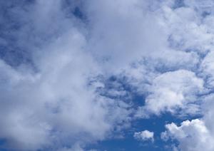 大阪・なんばで選ぶ永代供養の安心プランとアクセスの良いお寺ガイド